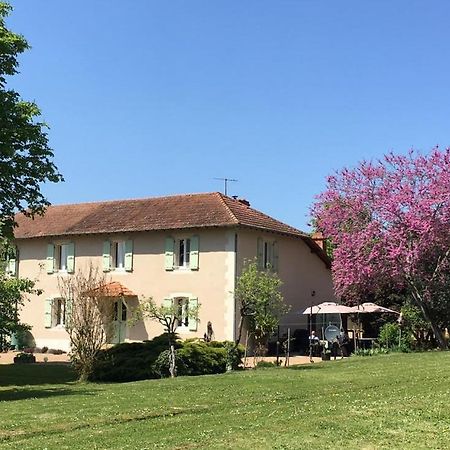Domaine Serrot Saint-Elix-Theux Экстерьер фото